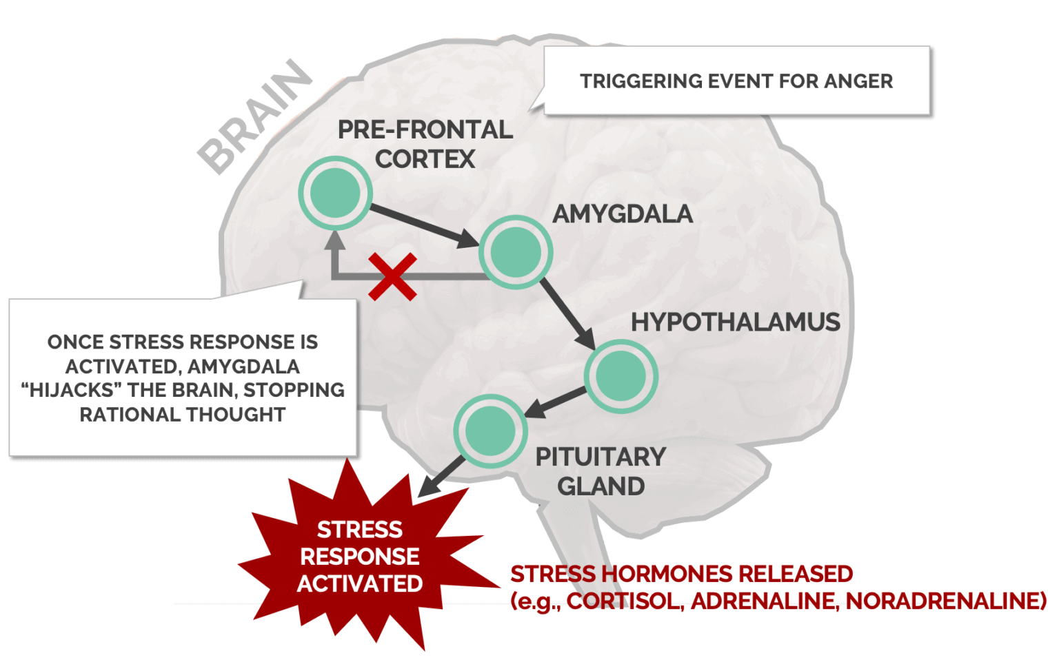 Anger infographics v2 tokyo mental health