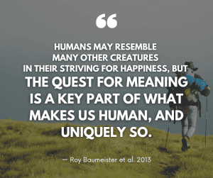 Humans may resemble many other creatures in their striving for happiness, but the quest for meaning is a key part of what makes us human, and uniquely so.