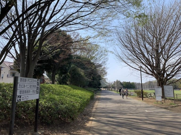 A scenery of Hikarigaoka Park in Tokyo
